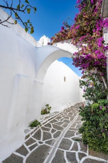White Cycladic houses and purple bougainvillea