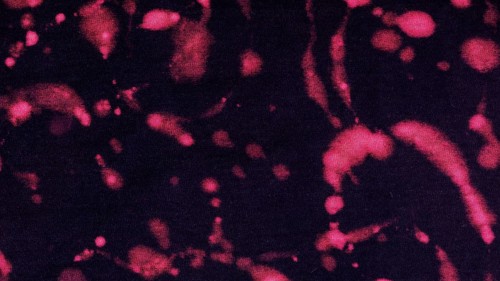 Tie dye background_3