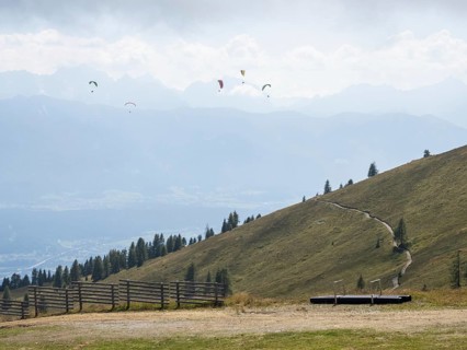 Paraglider