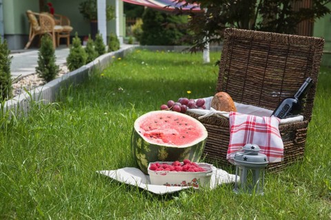 Picnic basket fruits green grass