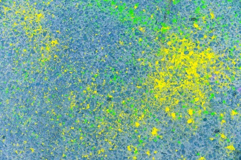 Blue sidewalk with colorful spots