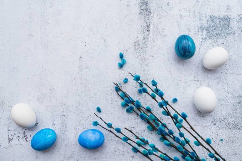Colored eggs willow catkins