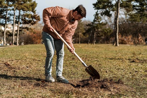 Side view man using shovel dig hole planting tree