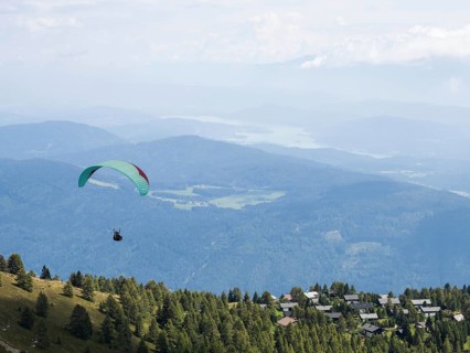 Paraglider
