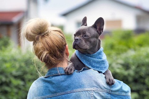 Woman holding French Bulldog dog over shoulder