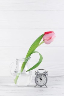 Gray alarm clock near transparent glass jug with pink tulip against white wooden desk