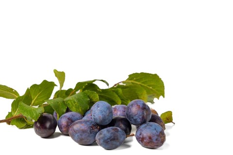 Several plums