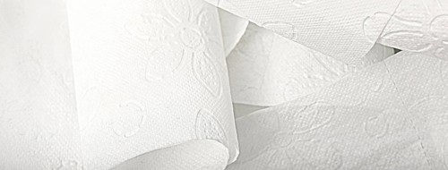 Motolite toilet paper