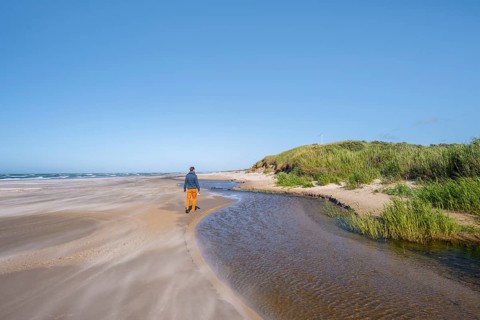Tourist on sandy beach by the sea with overgrown dunes