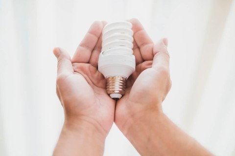 Close up hand holding compact fluorescent light bulb
