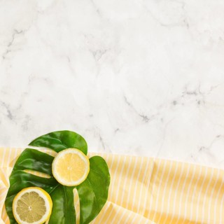 Lemon monstera leaf with copy space