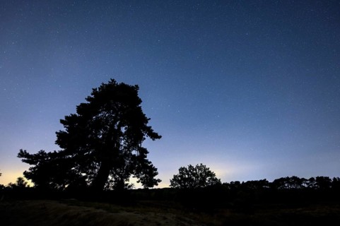 Starry sky in the evening