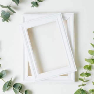Stacked white border frames with green leaves twig white backdrop