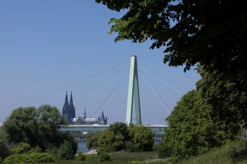 Rhine Bridge