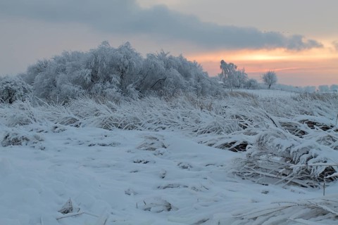 Winter on the Weser
