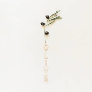 Olive word with olive branch