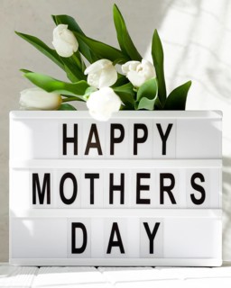 Lightbox with flowers