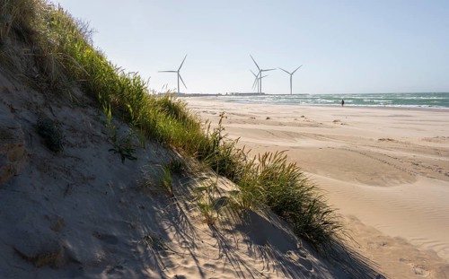 Dunes and sandy beach by the sea
