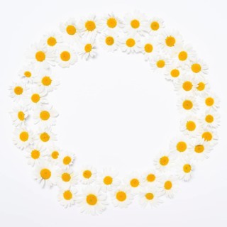 Wide flower wreath