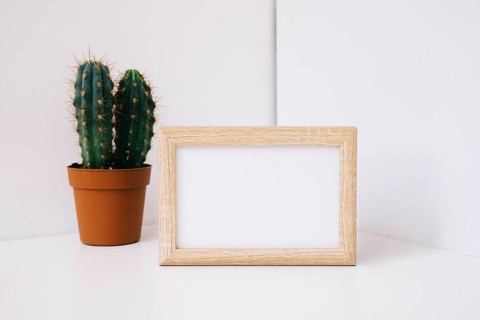 Frame corner cactus