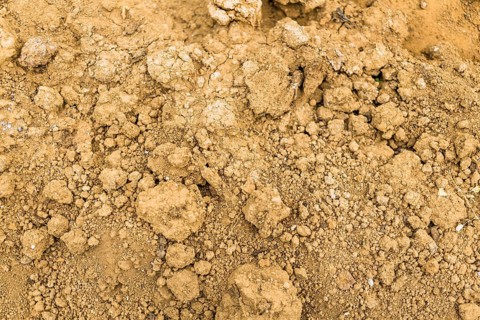 Soil