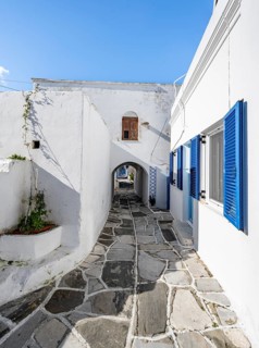 White Cycladic houses with blue doors and windows and flower pots
