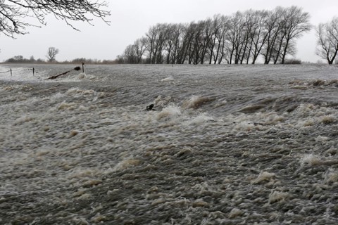 Overtopping of the dike during a storm surge on the Lower Weser island of Strohauser Plate