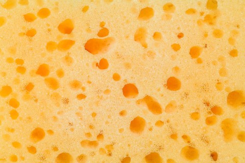 Sponge texture