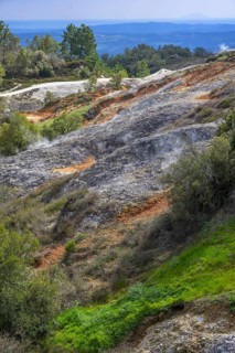 Bright green grass in contrast to the colourful rubble heaps