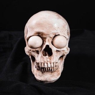 Creepy skull with white eyeballs