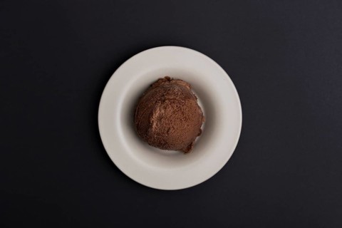 Plate with chocolate ice cream