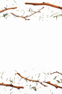 Dry twigs fir needles