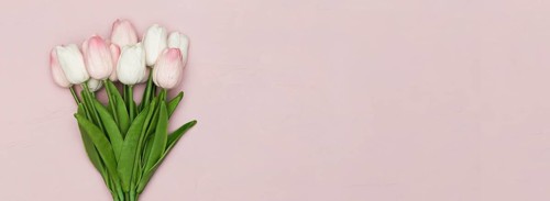Tulips with copy space mothers day