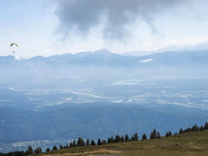 Paraglider