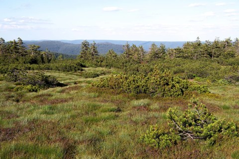 Landscape photograph Hornisgrinde