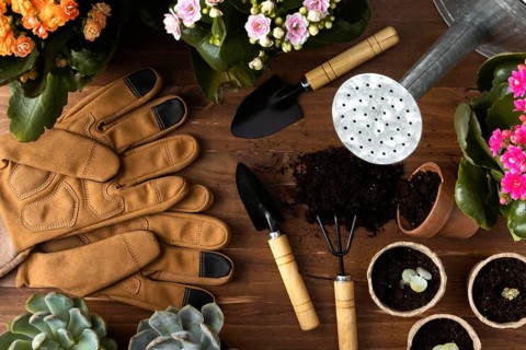 Frame tools gardening