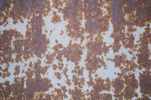 Urban rusted wall surface