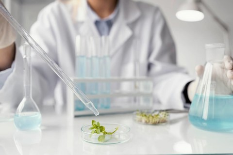 Researcher with pipette