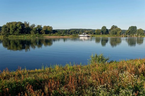 The Elbe near Darchau in the UNESCO Biosphere Reserve Elbe River Landscape