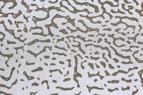 Sea foam
