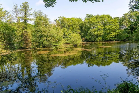 Still water in loam pond fishing lake