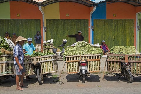 Javanese vendors with motorbikes heavily laden with vegetables selling greens at food market in the village Tumpang