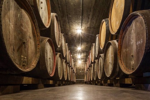 Wooden beer barrels at Oud Beersel