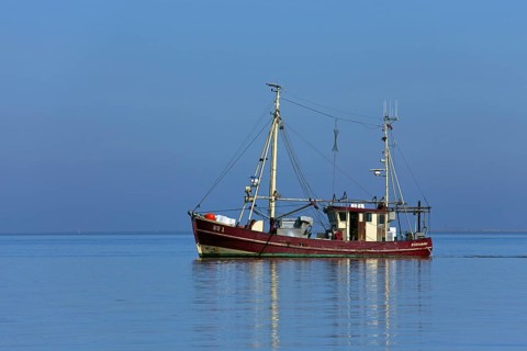 Shrimp boat fishing in the Wadden sea