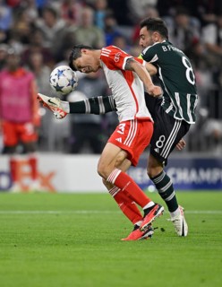 Tackle
