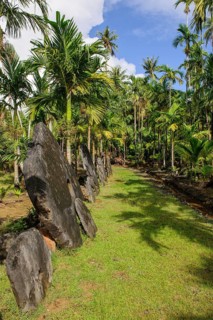 Oversized Large Giant Stone Coins Real Stone Money Stone Money Bank in Jungle of Yap Island