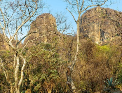 Mountainous wooded countryside