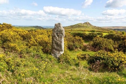 Weathered standing stone Celtic cross with flowering gorse