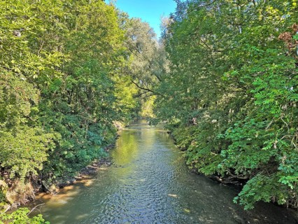Natural river course