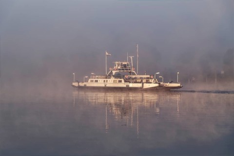 The Elbe ferry Tanja in the early morning mist between Darchau and Neudarchau on the Elbe in the UNESCO Biosphere Reserve Elbe River Landscape. Amt Neuhaus